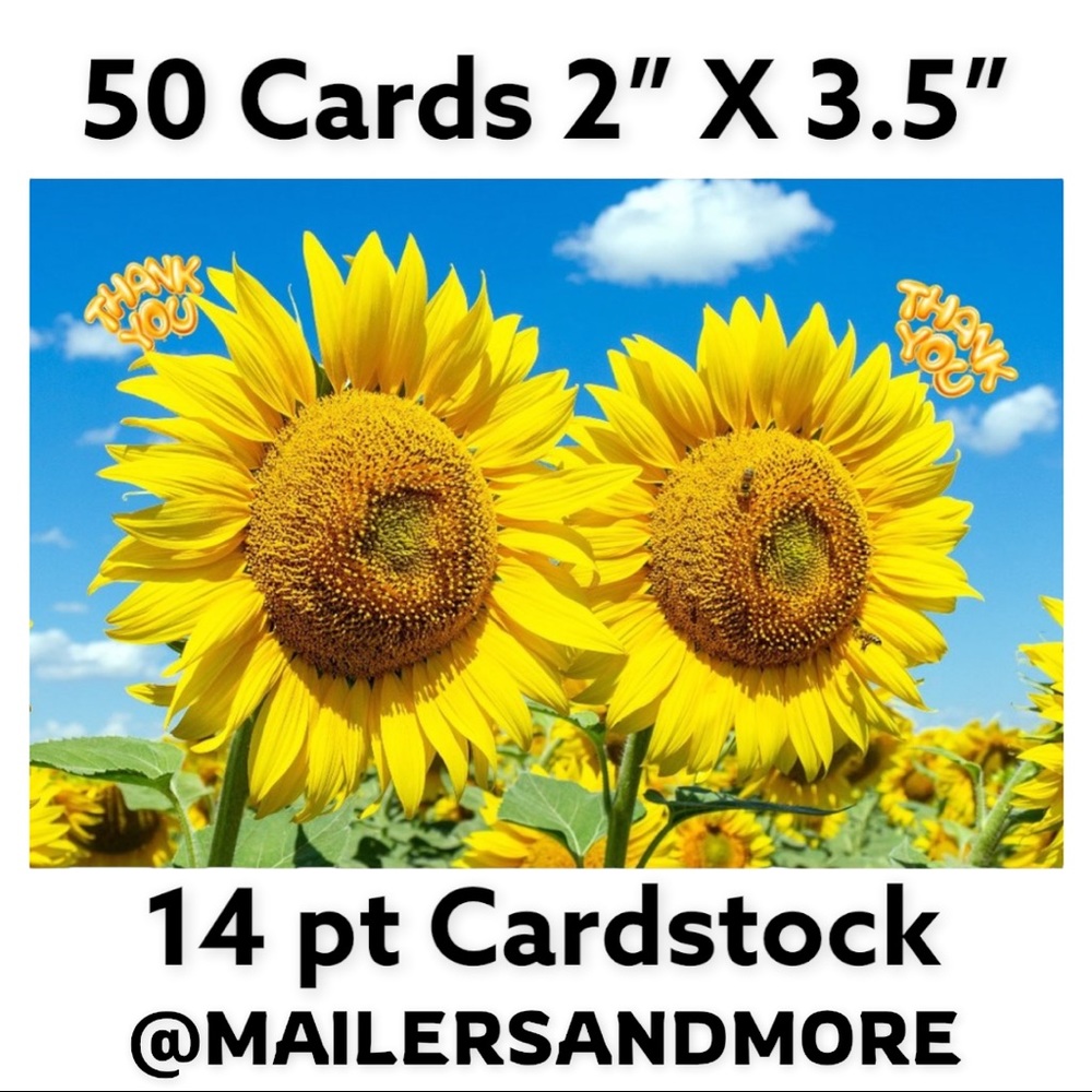 50 Cards Sunflower and Bee Thank You, PRICE IS FIRM